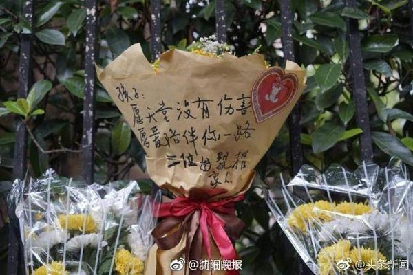 星空下载站官网电脑免费版