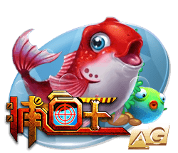官方：布莱顿后卫埃兰